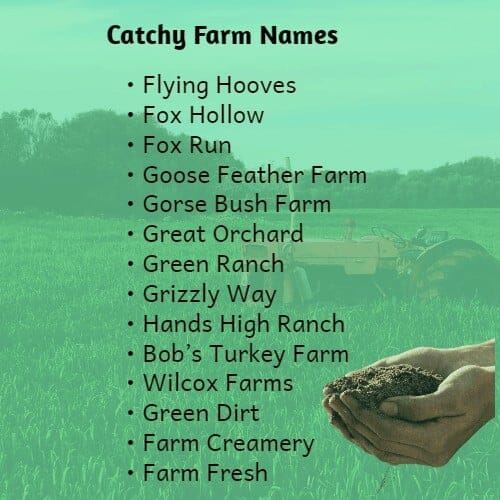 Catchy Farm Names