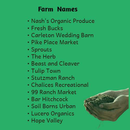 Catchy and Funny Farm Names