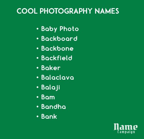 elegant names for photography business